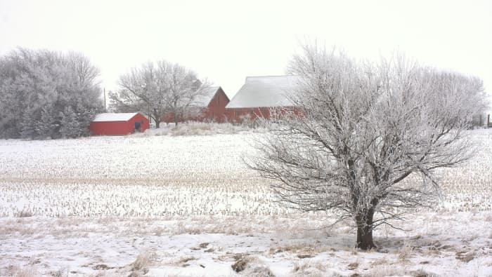 January in Iowa